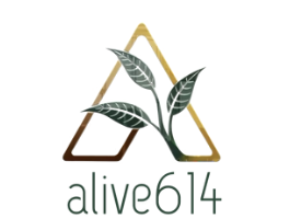 Alive 614: Events & Meetings Venue