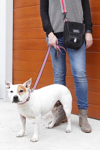 Doog shoulder clearance bag